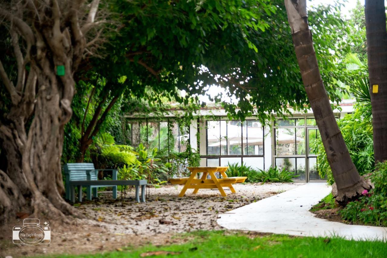 Eden Inn Zikhron Ya'akov Eksteriør bilde